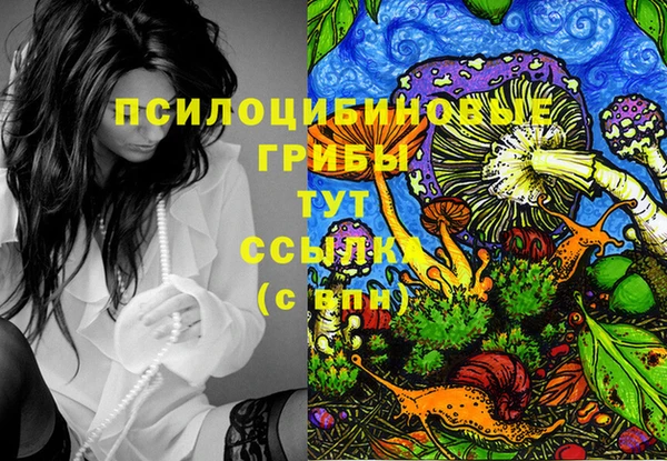 стаф Абаза