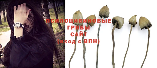 кристаллы Абинск