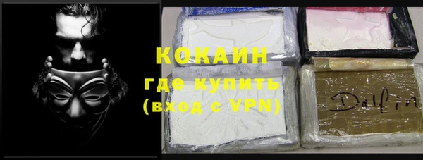стаф Абаза