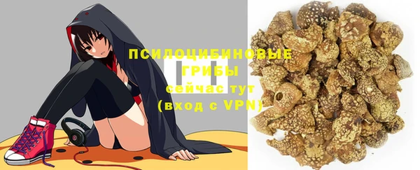 хмурый Снежногорск