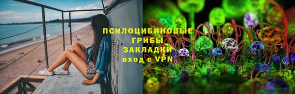 хмурый Снежногорск