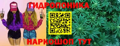 mix Бийск