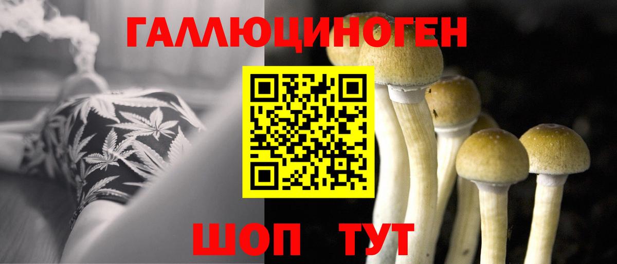 Донецк  Галлюциногенные грибы GOLDEN TEACHER  купить наркотики сайты  Вход с VPN 